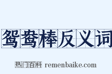 鸳鸯棒反义词是什么意思的图片